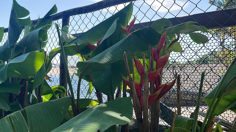 Linda casa rústica a beira do rio una com vista para o mar